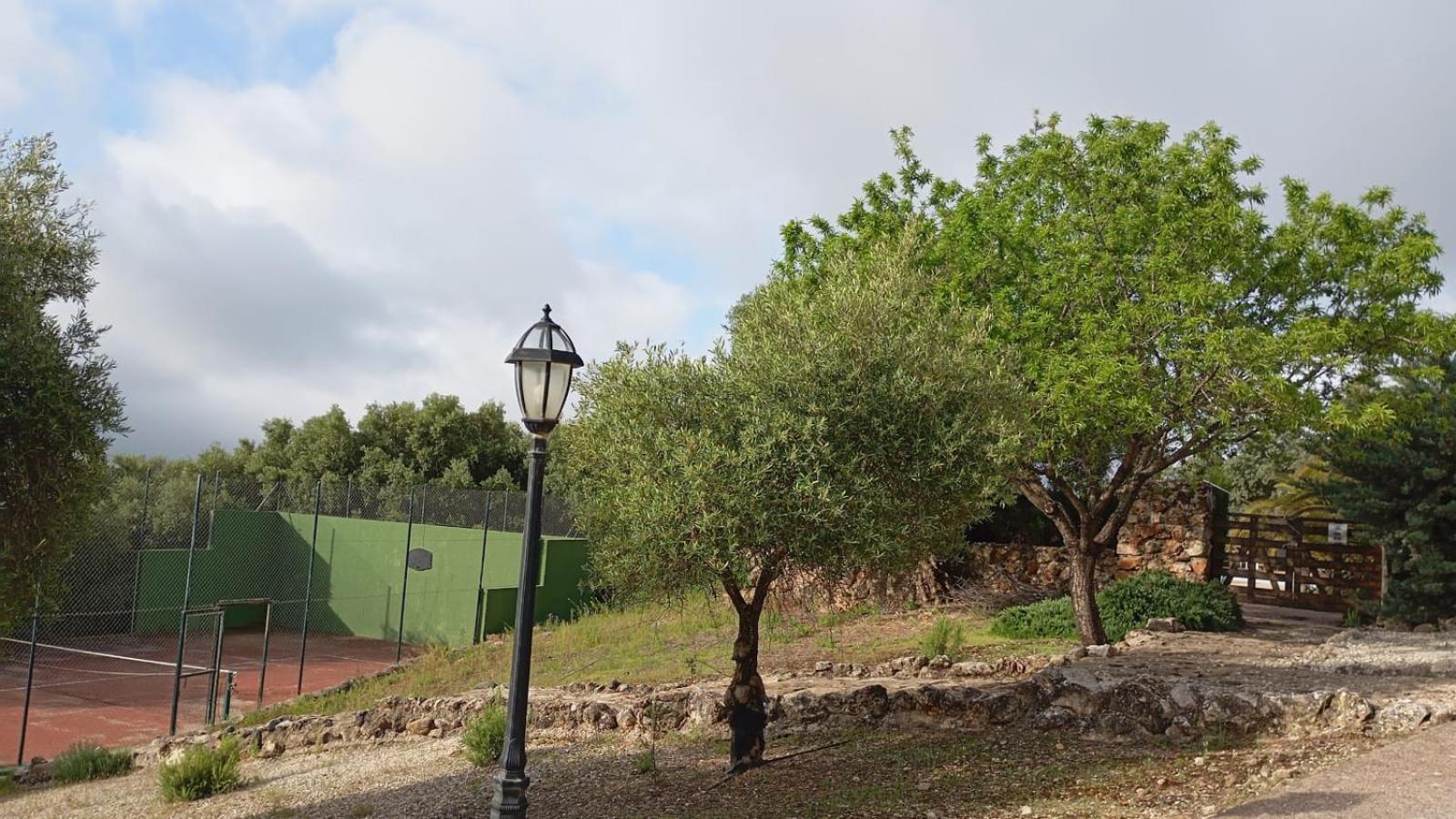 Casas Rurales Cortijo La Canada Estepa Dış mekan fotoğraf