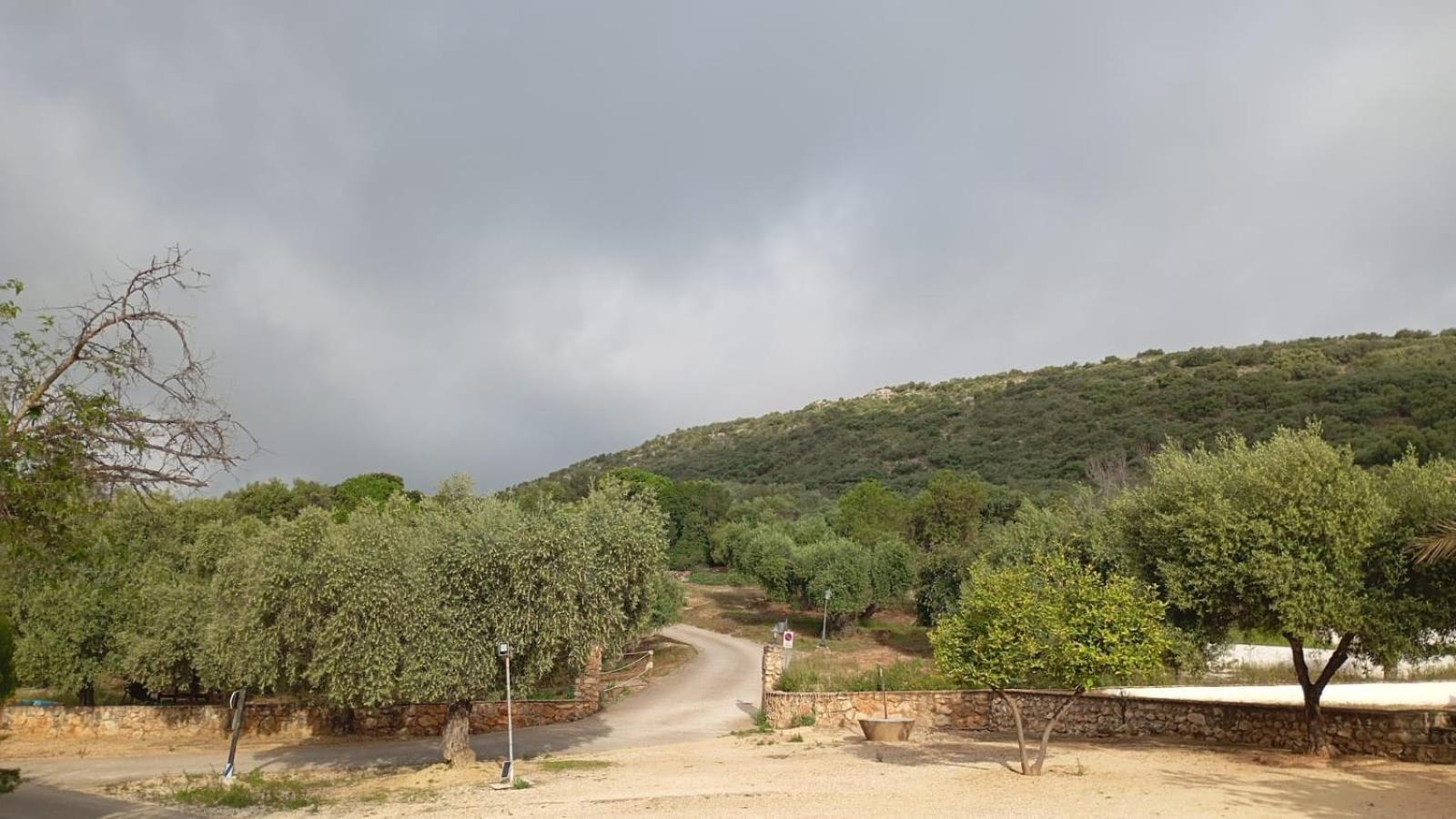 Casas Rurales Cortijo La Canada Estepa Dış mekan fotoğraf