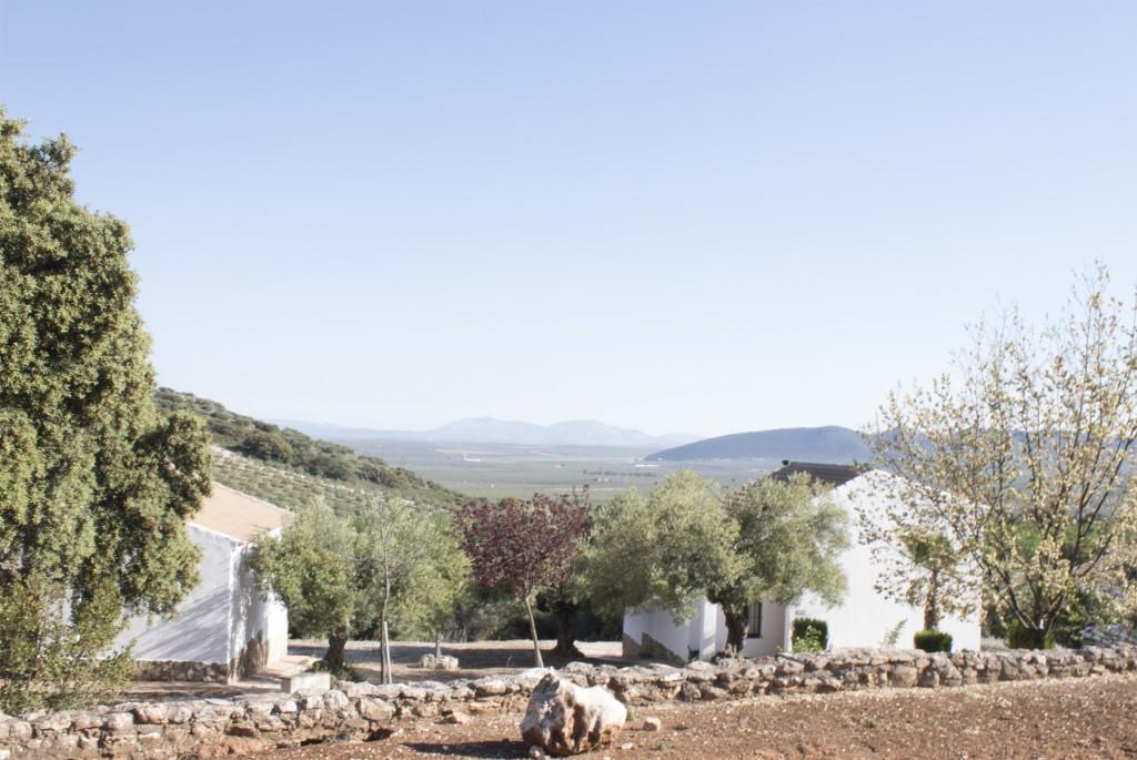 Casas Rurales Cortijo La Canada Estepa Dış mekan fotoğraf